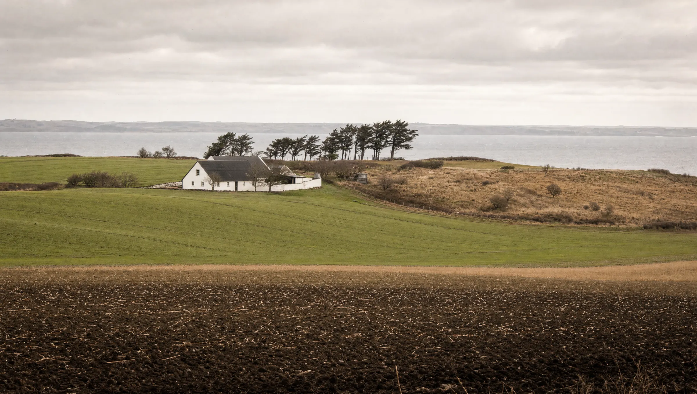 Farmland in Thy, near Thisted